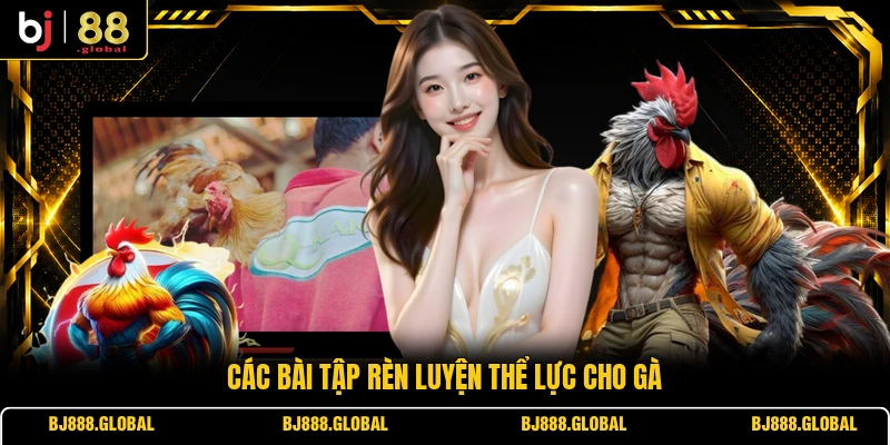 Các bài tập rèn luyện thể lực cho gà