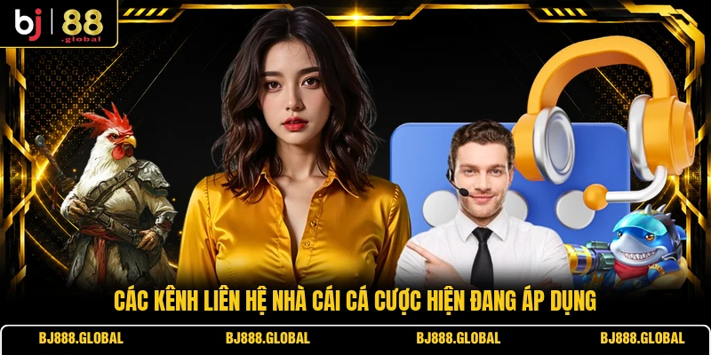 Các kênh liên hệ nhà cái cá cược hiện đang áp dụng