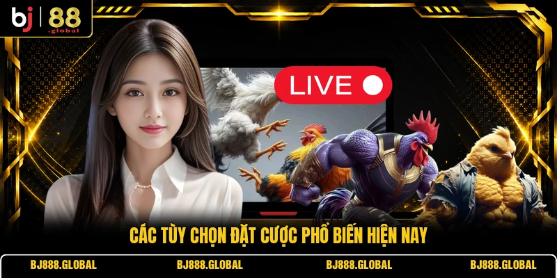 Các tùy chọn đặt cược phổ biến hiện nay