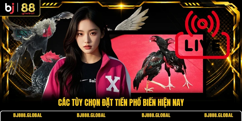 Các tùy chọn đặt tiền phổ biến hiện nay