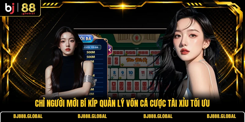 Chỉ người mới bí kíp quản lý vốn cá cược Tài Xỉu tối ưu