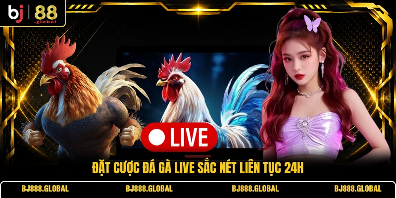 Đặt cược đá gà live sắc nét liên tục 24H