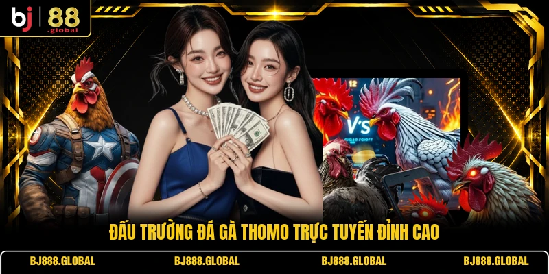 Đấu trường đá gà Thomo trực tuyến đỉnh cao