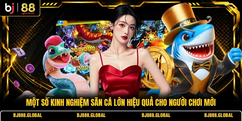 Một số kinh nghiệm săn cá lớn hiệu quả cho người chơi mới