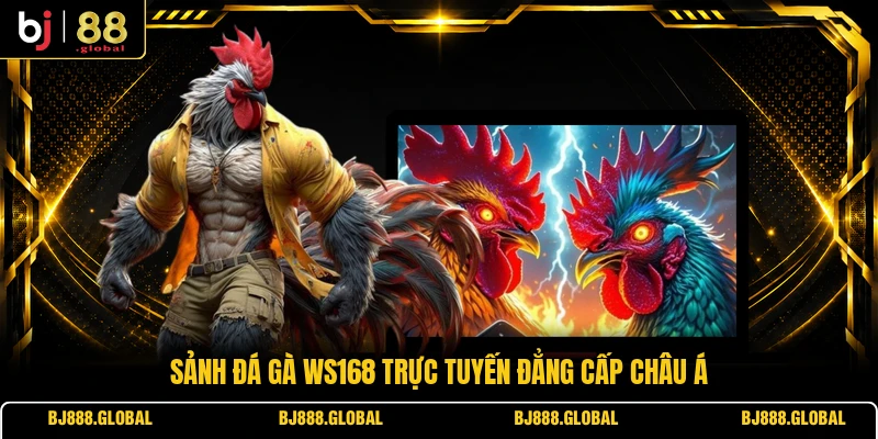Sảnh đá gà WS168 trực tuyến đẳng cấp châu Á